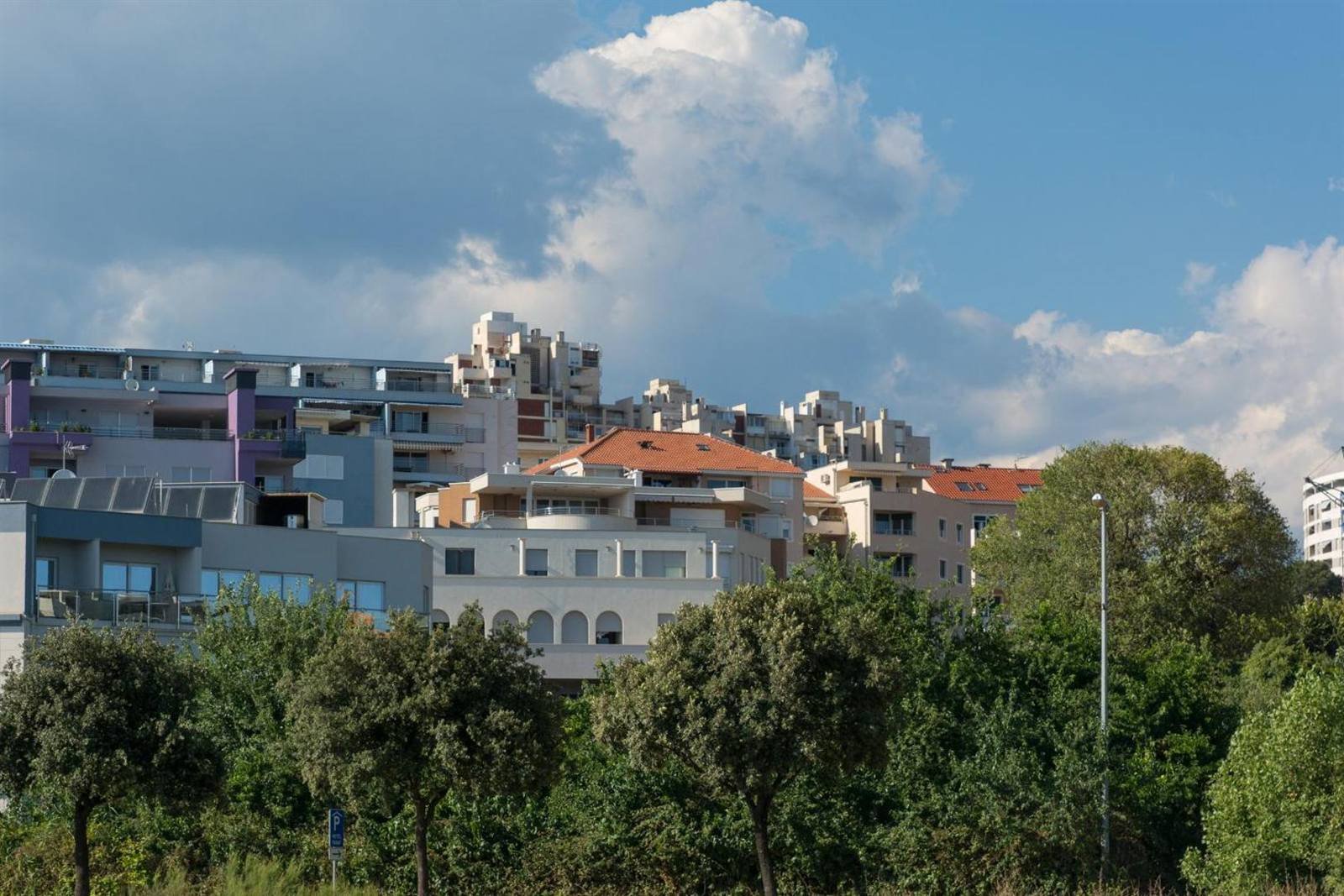 View over the neighborhood's rooftops and trees from the property